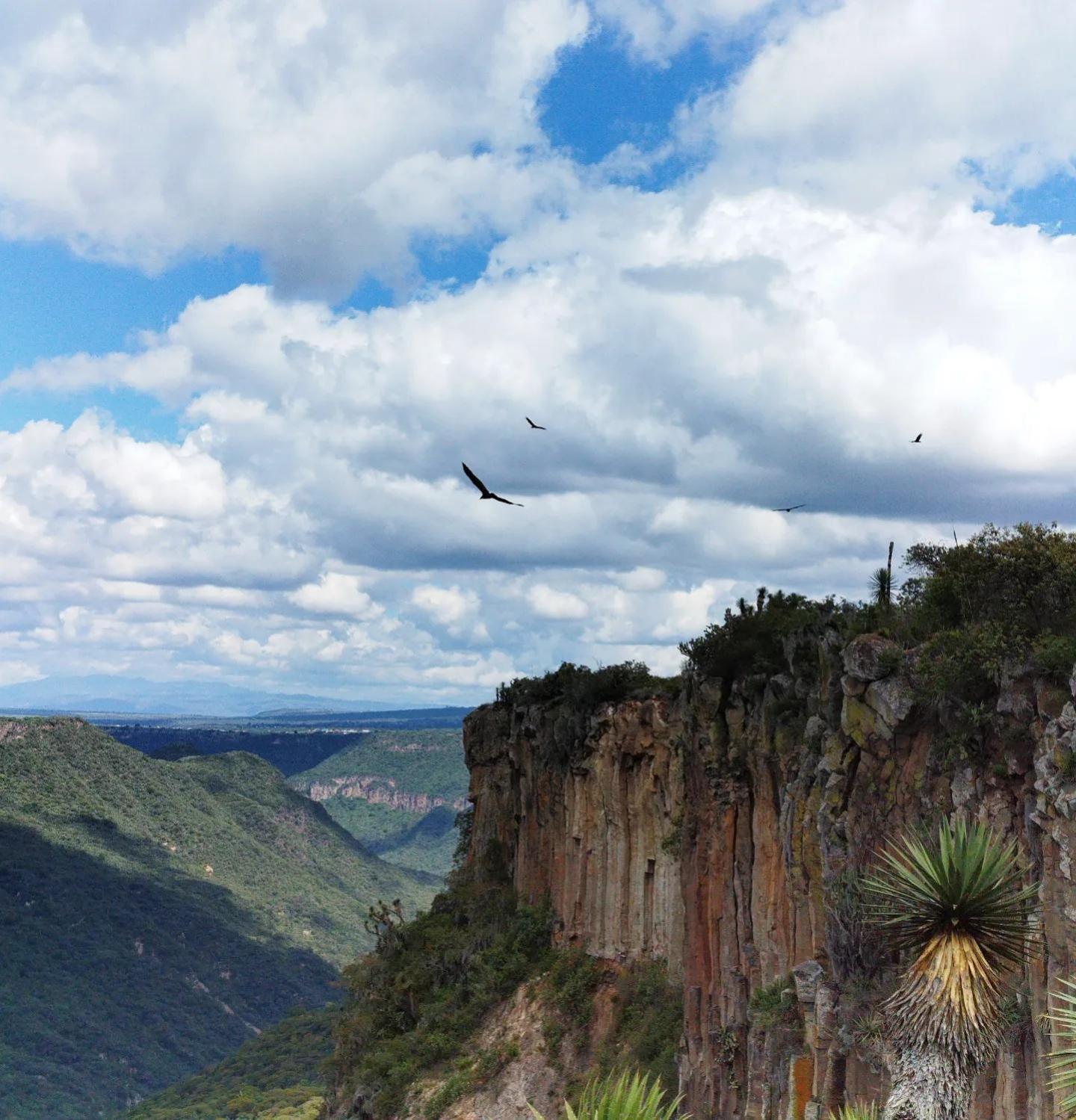 El Gato Glamping Con Vista A Prismas Basalticos Hotel Huasca de Ocampo Exterior photo
